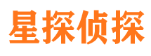 东西湖市调查公司